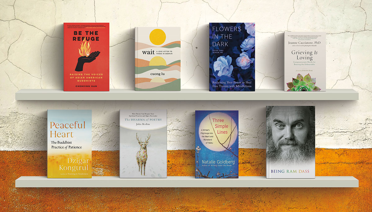 A photo of eight books covers on two different shelves.