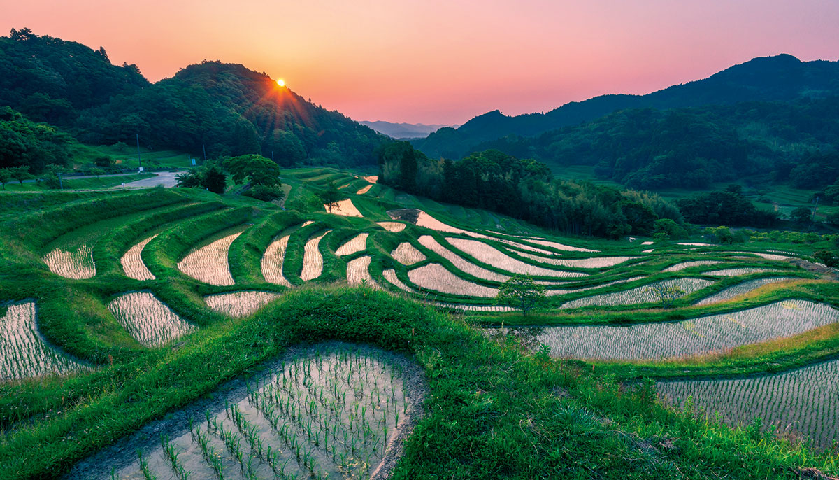 A field at sunset.