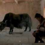 Bhutanese Film “Lunana: A Yak in the Classroom” Receives Academy Award Nomination