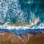 The View from This Shore