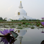 Walking In the Footsteps of the Buddha