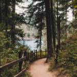 The Groundless Path