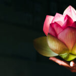 Opening to a Vaster Sense of Buddhist Practice