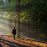 The Path of Joy and Liberation