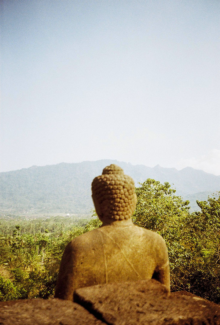 Photo of Buddha statue facing away from camera