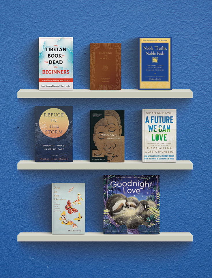 8 books reviewed on 3 shelves with blue background. 