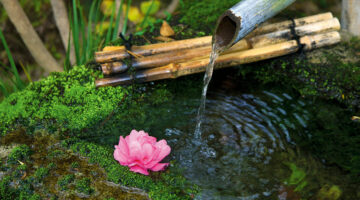 water pouring into pool with pink flower floating
