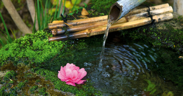 water pouring into pool with pink flower floating