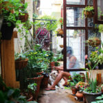 Grow Your Mindfulness in the Garden