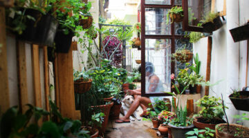 Person sitting in garden with dog.