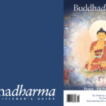 Summer 2023 Buddhadharma Digital Exclusives