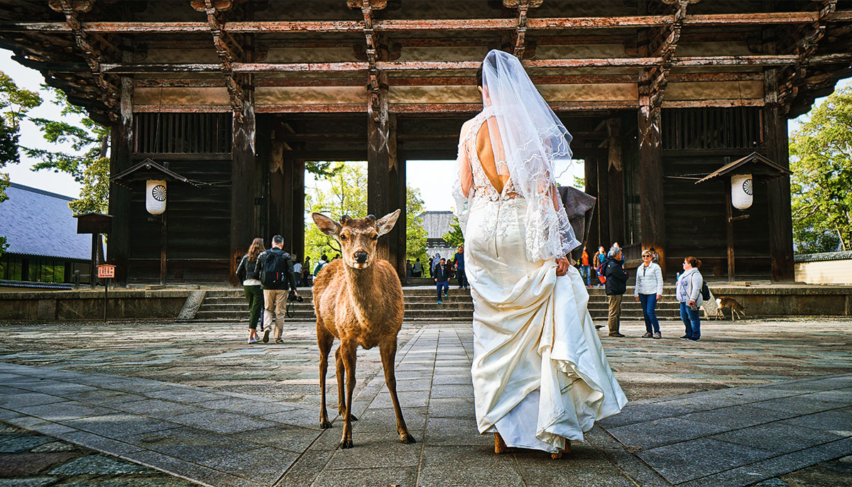 Woman in wedding dress standing beside deer.
