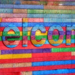 Mindfulness as a Path to Healing and Belonging for Immigrants