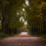 Share Your Wisdom: What’s your advice for Buddhists new to the path?