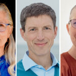 Ask the Teachers: How can I move from understanding emptiness philosophically to experiencing it directly?